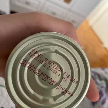 Kedim Gourmet Tavuklu Mama Sonrası Kusmaya Başladı, Firma Sorumluluk Almıyor