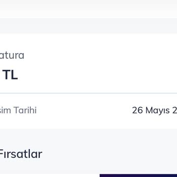 Her Ay Artan Fatura Ve Bitmeyen Sorunlar Canımı Sıkıyor
