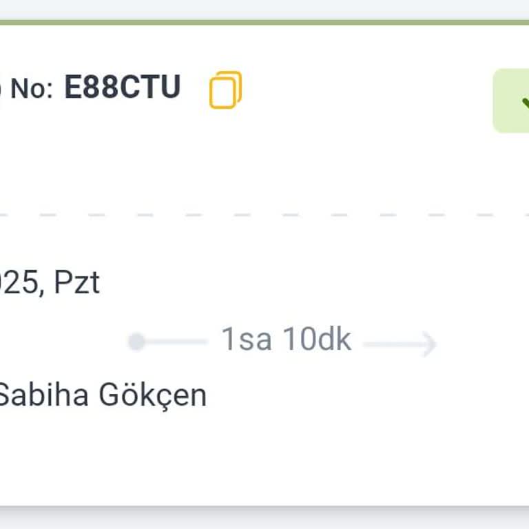 Pegasus Yüzünden Rötar Bekleme Valiz Gecikmesi Ve Ek Ücret Mağduriyeti Yaşadık