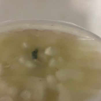 Aldığım Peynirde Bozulma Belirtileri Ve Güven Sorunu