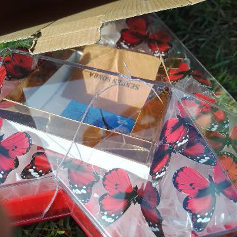 PTT Kargo İle Gelen Hediyem Kırık Ulaştı