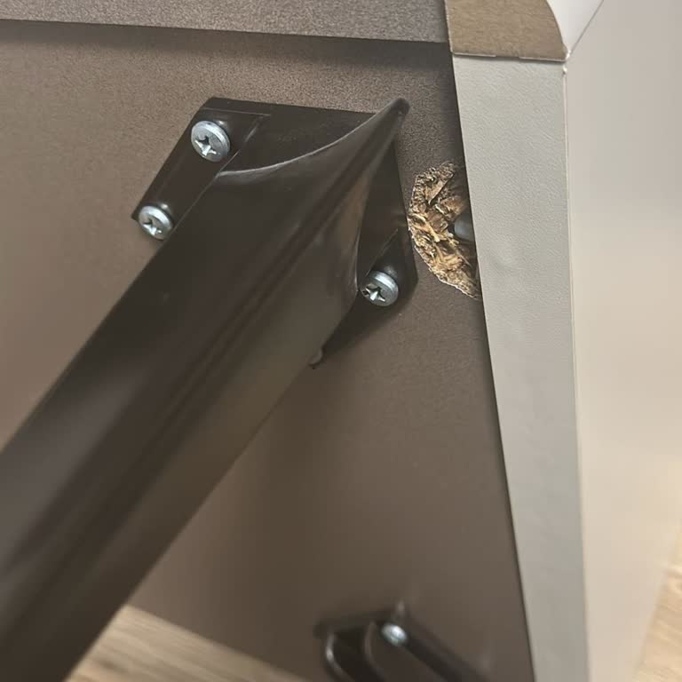 Yatak Odası Takımında Kronik Ayak Kırılması Ve Garanti Kapsamında Çözüm Bulamama