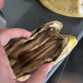 Çürük Meyve Teslimatı: Sağlık Ve Güven Sorunu