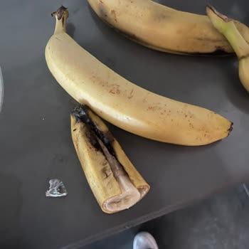 Çürük Meyve Teslimatı: Sağlık Ve Güven Sorunu