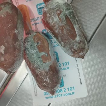 Aldığım Magnum Dondurmaların Tamamı Küflü Çıktı, Hayal Kırıklığı Yaşadım
