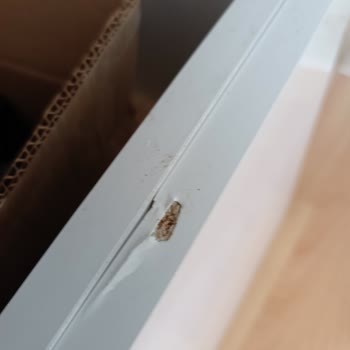 Eksik Ve Hasarlı Dolap, Müşteri Hizmetlerinden Günlerdir Dönüş Yok