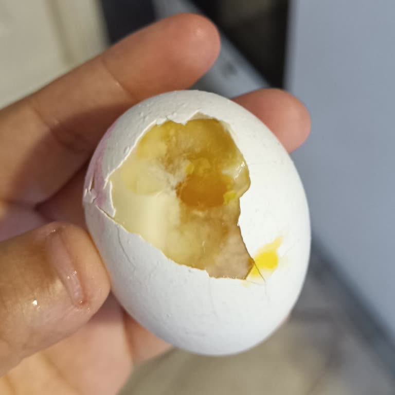 Aldığım Yumurtaların Çürük Çıkması Ve Kötü Koku Sorunu