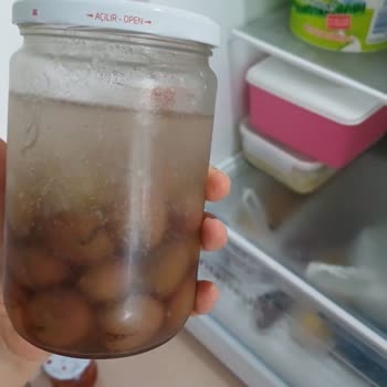 Bosch Buzdolabında Donma Sorunu Ve Yetersiz Servis Çözümü