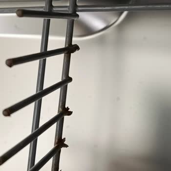 Arçelik Bulaşık Makinesi Ve Buzdolabında Kalite Sorunu Ve Paslanma Şikayeti