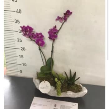 Satın Aldığım Çiçekle Gönderilen Ürün Tamamen Farklı