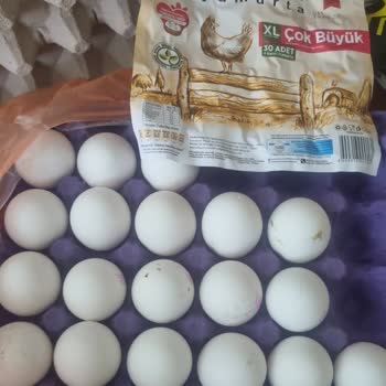 XL Yumurta Diye S-M Yumurta Satışı Ve İletişimsizlik Sorunu