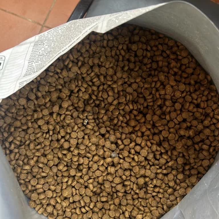 Aldığım Mamalar Küflendi Ve İade Talebim Reddedildi