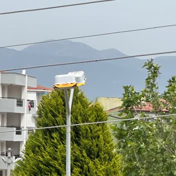 Park Aydınlatma Zamanlaması Sorunu