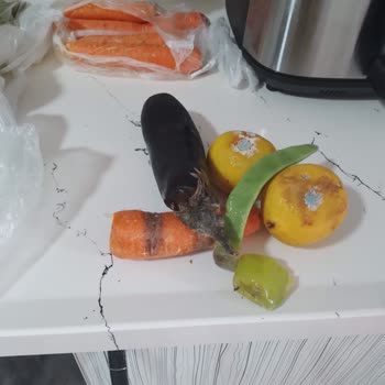 Altus Buzdolabı Yemekleri Bozuyor, Servis Sorunu Çözmüyor