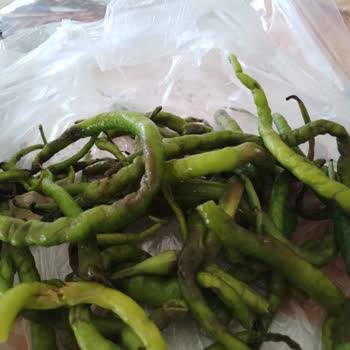 Altus Buzdolabı Yemekleri Bozuyor, Servis Sorunu Çözmüyor