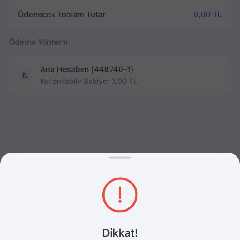 Hesabımdaki Parayla Borcumu Ödeyemiyorum, Müşteri Hizmetleri İlgisiz