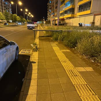 BİM Mağazasının Kaldırım İşgali Ve Müşteri Şikayetinin Dikkate Alınmaması