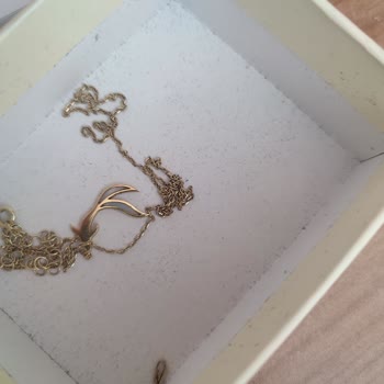 Koi Balık Kolyesi Sürekli Kopuyor Tamir Ücreti Satış Fiyatını Geçti