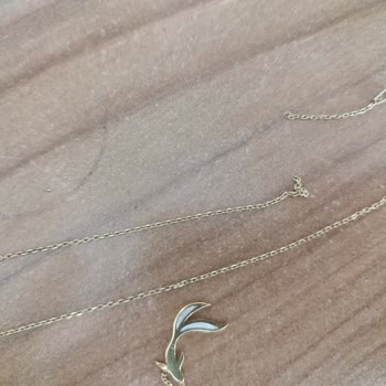 Koi Balık Kolyesi Sürekli Kopuyor Tamir Ücreti Satış Fiyatını Geçti