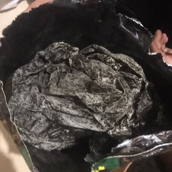 Aldığım Çiçek Toprağından Taş Ve Poşet Çıktı