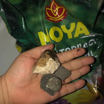 Aldığım Çiçek Toprağından Taş Ve Poşet Çıktı