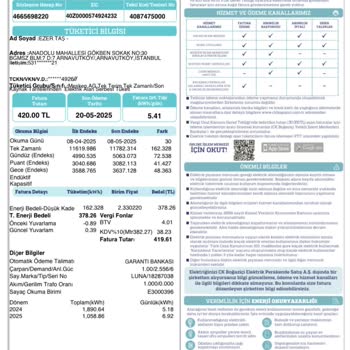 Elektrik Faturasında Anlamsız Artış Ve Zorunlu Ödeme Şikayeti