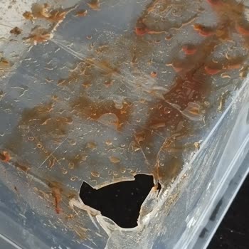 Kırılacak Ürünüm Hem Zarar Gördü Hem Ek Ücret Alındı!