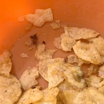 Cipsin İçinden Çıkan Böcek Yüzünden Markaya Olan Güvenim Sarsıldı