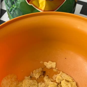 Cipsin İçinden Çıkan Böcek Yüzünden Markaya Olan Güvenim Sarsıldı