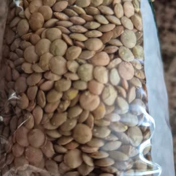 Son Kullanma Tarihi Geçmemiş Yeşil Mercimekte Kurtlanma Şikayeti