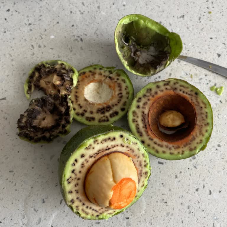 Aldığım Avokadoların İçi Bozuk Çıktı Param Boşa Gitti