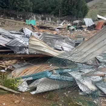 Tuzla'da Engelli Hayvan Barınağına Yapılan Haksızlık Ve Duyarsızlık!