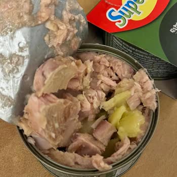 Ton Balığında Sarı Donmuş Maddeyle Karşılaştım Endişelendim