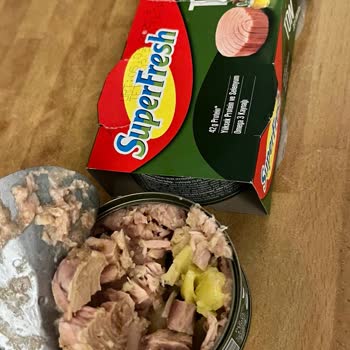 Ton Balığında Sarı Donmuş Maddeyle Karşılaştım Endişelendim