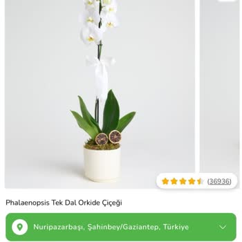 Anneler Günü Öncesi Çiçek Sepeti'nde Ani Fiyat Artışı