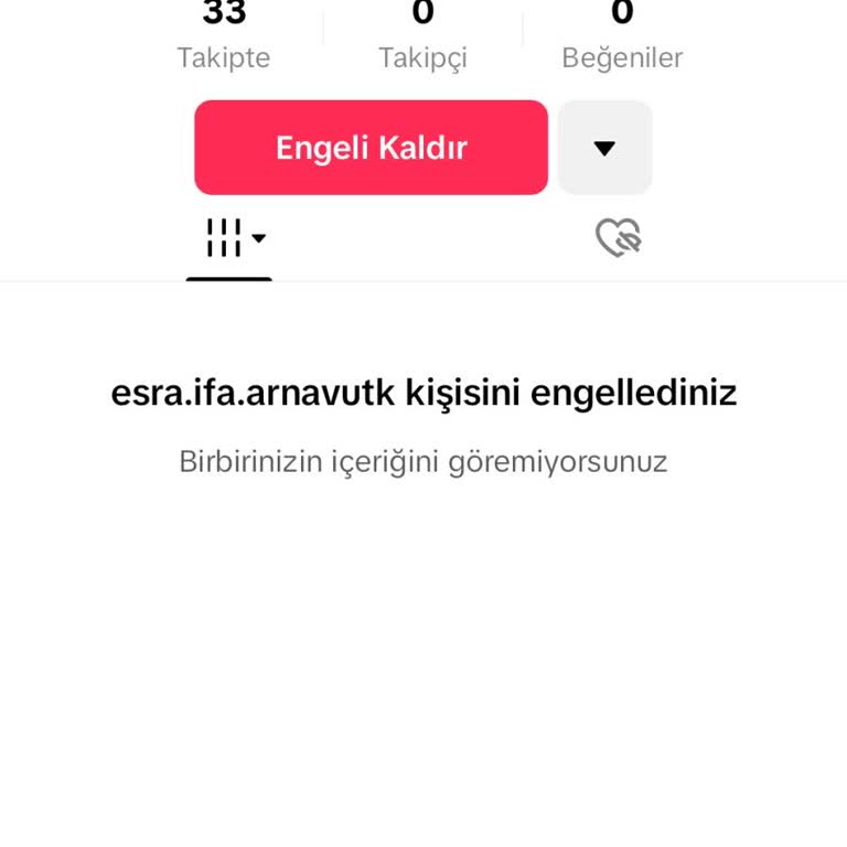 İzinsiz Açılan TikTok Hesabımın Kapatılması Talebi