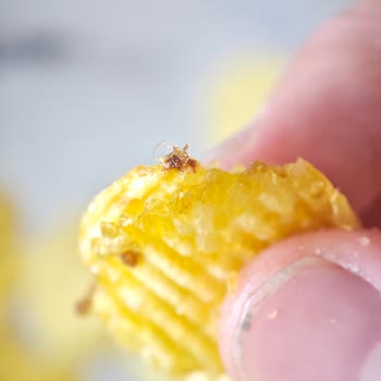 Cipsin İçinden Çıkan Tanımlanamayan Cisim Şaşkınlığı