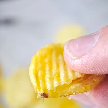 Cipsin İçinden Çıkan Tanımlanamayan Cisim Şaşkınlığı