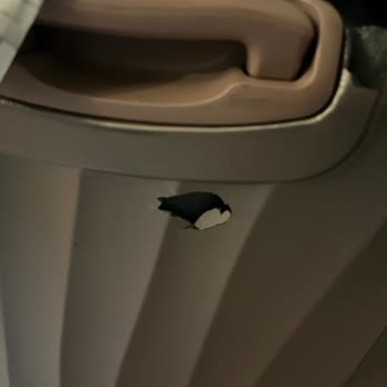 Parçalanmış Valizle Eve Gönderildim THY Ve Diyanet Çözüm Sunmadı