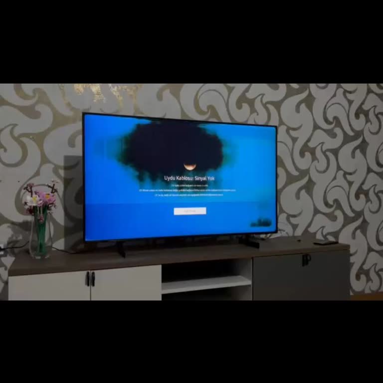 Samsung UE50AU8000UXTK Televizyonda Kronik Panel Arızası Ve Yetersiz Servis Desteği