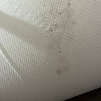 Bebek Yatağı Rutubetlendi, Değişim Yapılmadı