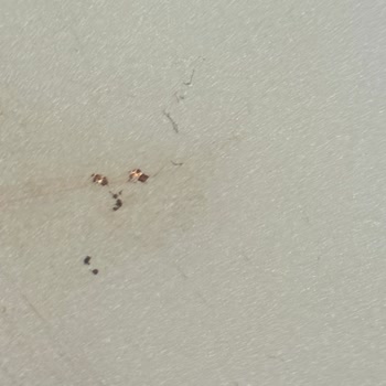 Garantili Tencere Seti İki Ayda Teflonunu Kaybetti, Muhatap Yok