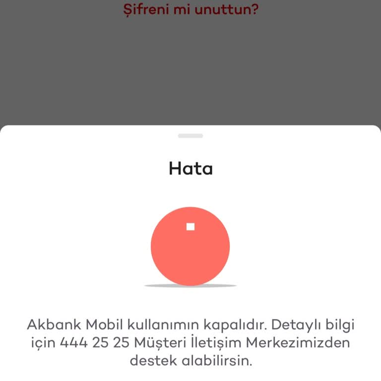 Mobil Bankacılık Kısıtlaması Nedeniyle Yaşanan Mağduriyet Ve Çözüm Eksikliği