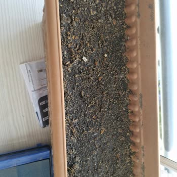 Gönderilen Tohumlar Çimlenmedi Ve Yanlış Ürün Geldi