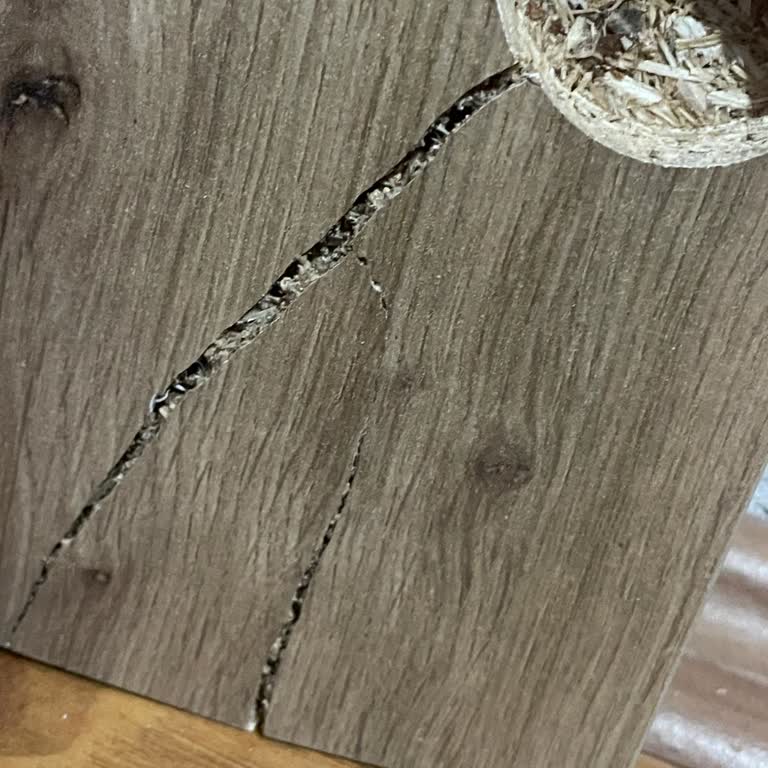 Kırık Dolap Kapağı İçin Günlerdir Çözüm Sunulmuyor