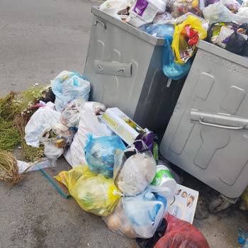 Çöp Sorunu Ve Sağlık Tehlikesi Göz Ardı Ediliyor