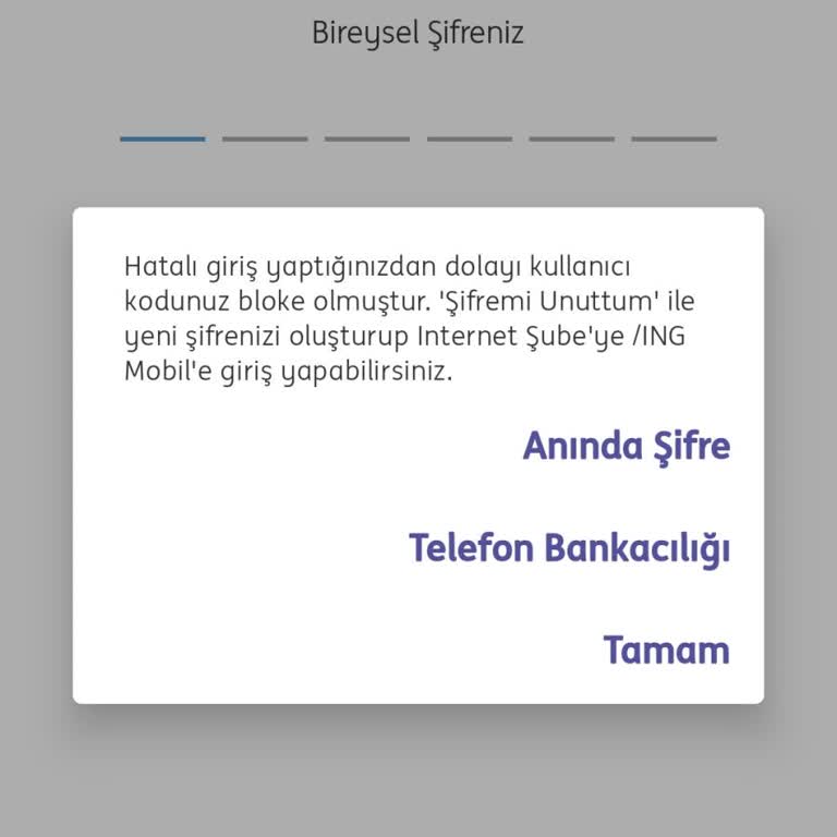 Şifre Blokesi Ve Müşteri Hizmetlerine Ulaşılamaması Nedeniyle Borç Ödeyememe Sorunu