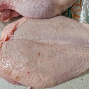 Tarım Kredi'den Alınan Piliç Tavukta Koku Ve İade Sorunu