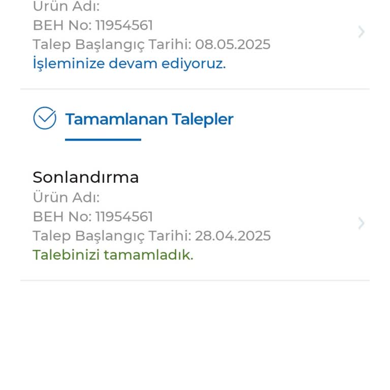 BES İptalinde İade Gecikmesi Ve Bilgilendirme Eksikliği Mağduriyet Yaşatıyor