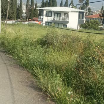 Düşük Yükseklikteki Kablolar İçin Direk Talebimiz Var